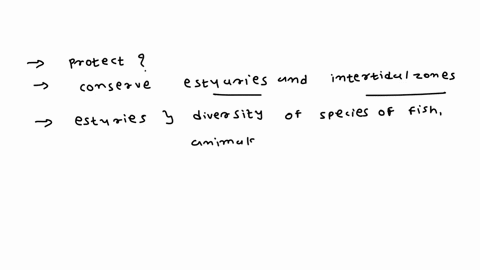 why-is-it-import-to-protect-and-converse-estuaries-and-intertidal-zones-26108