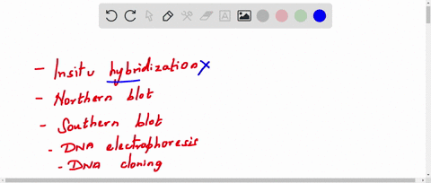 in-which-of-the-following-techniques-we-do-not-use-dna-denaturation-and-hybridization-check-all-that-apply-can-be-more-than-one-answer-in-situ-hybridization-northern-blot-southern-blot-dna-e-70546