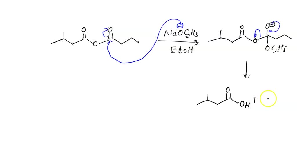 SOLVED: Spectroscopy: The treatment of the following anhydride with ...