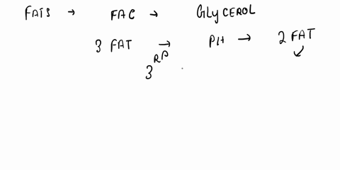 how-do-phospholipids-differ-from-fats-multiple-answers-yju-can-select-more-than-aban-phopsholipids-have-two-fatty-acids-while-fats-have-three-phospholipids-have-phosphate-groups-while-fats-d-02552