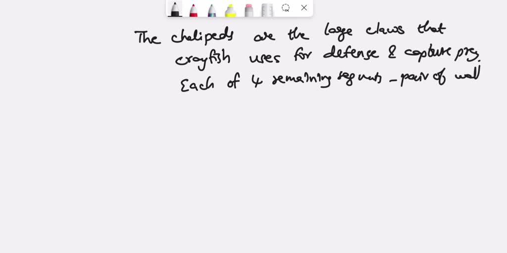 SOLVED a) What are the functions of chelipeds, antennae, walking legs