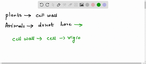 why-do-plants-have-a-cell-walls-bur-animal-cells-do-not-have-90804