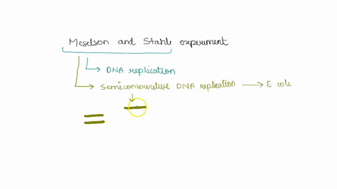 explain-the-meselson-and-stahl-experiments-and-demonstrate-what-dispersive-replication-would-produce-50948