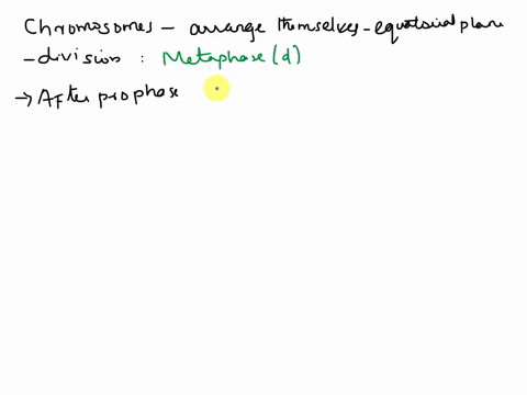 ans-the-correct-chromosomes-arrange-themselves-at-the-equatorial-plane-of-division-during-a-anaphase-c-telophase-b-prophase-d-metaphase-75417