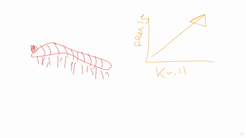 points-save-answer-crabeater-seals-eat-krill-fisherman-catch-large-amounts-of-krill-from-the-sea-how-would-a-decrease-in-the-number-of-krill-affect-the-number-of-crabeater-seals-it-would-not-96936