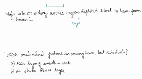 what-is-the-primary-artery-that-distributes-blood-throughout-the-body-the-vena-cava-inferior-the-pulmonary-arteries-the-aorta-the-vena-cava-superior-lets-say-you-just-heard-a-very-complex-ri-33224