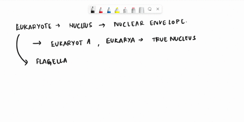 what-are-eukaryotic-flagella-made-out-of-tubulin-93047
