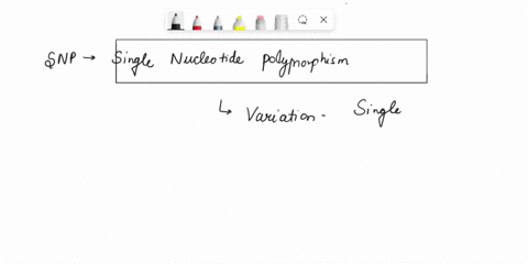 question7-what-is-the-total-difference-in-alleles-at-snp-1-in-the-table-shown-in-question-5-and-6-32206