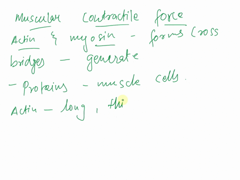 ________-________-form-cross-bridges-that-generate-muscular-contractile-force-please-explain-69941
