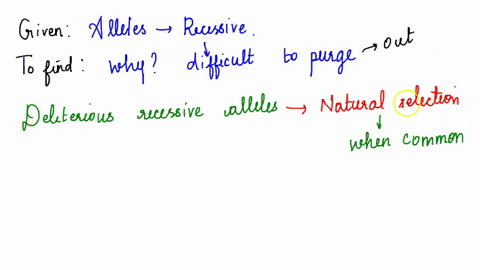 why-are-deleterious-recessive-alleles-difficult-to-purge-from-a-population-they-are-only-selected-against-when-common-they-are-most-frequently-segregate-in-heterozygous-genotypes-when-rare-w-60174
