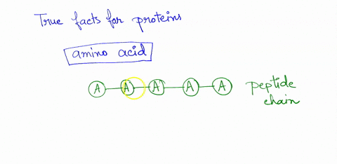 5-which-ol-the-ollowring-are-chesinuciure-proteins-polypeptides-consistof-series-of-amino-acids-jlways-arranged-singlc-unbriochedchain-b-the-secondary-structur-droteins-isalwars-inthe-form-o-66205