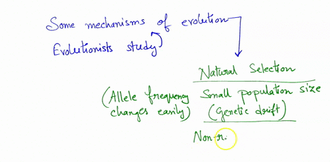 explain-some-of-the-mechanisms-that-can-cause-evolution-to-occur-give-a-description-of-a-real-example-of-evolution-by-natural-selection-97308