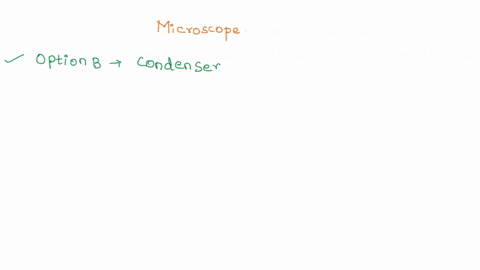 on-the-light-microscope-the-first-lens-light-passes-through-is-magnifies-the-specimen-is-and-the-first-lens-that-the-condenser-the-ocular-the-condenser-the-objective-the-objective-the-ocular-62738