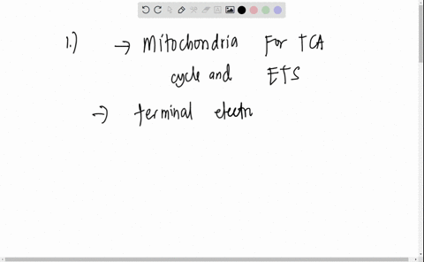 worksheet-chapter-9-explain-a-what-is-the-role-of-oxygen-in-the-acrobic-respiratory-pathways-and-b-what-would-happen-if-oxygen-is-not-present-in-the-process-2-what-is-the-nad-explain-how-it-17692