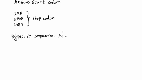 mrna-5-uac-ggg-gug-aug-ccu-caa-auc-ucg-uaa-ugg-question-7-of-7-points-second-letler-uuu-phe-ucu-uau-ucu-cys-uuc-ucc-ser-uac-ucc-uua-uca-uaa-stop-uga-stop-uug-ucg-uag-stop-ugg-cuu-ccu-cau-cgu-09077