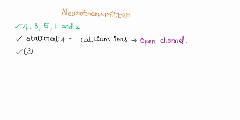 neurotransmitters-open-ion-channels-in-the-postsynaptic-cell-causing-the-cell-membrane-to-depolarize-and-an-excitatory-postsynaptic-potential-epsp-is-produced-in-the-next-nerve-cell-neurotra-70259