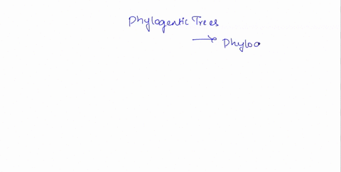 which-of-the-following-is-not-true-about-phylogenetic-trees-a-show-patterns-of-descent-b-descendants-branch-from-a-common-ancestor-c-always-allows-you-to-determine-the-timing-of-when-species-35285