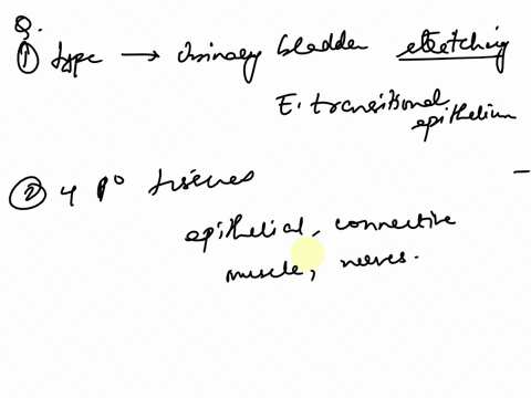 nalcntheuun-16the-four-primary-tisue-types-e-cepitheialconncctivemuceand-nerve-dglandsbonclung-and-kidny-eboneskin-bloodand-muscle-17carlage-heals-lowy-afet-an-y-be-athis-tissue-type-is-very-94591