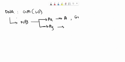 which-of-the-following-is-formed-via-the-de-novo-pyrimidine-synthesis-pathway-a-imp-b-omp-c-atp-d-gtp-e-none-of-the-above-98046