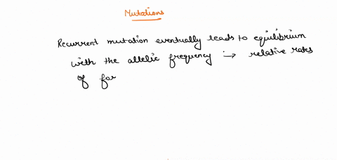 which-of-the-following-statements-best-describes-the-effect-of-mutation-on-allele-frequencies-a-forward-mutation-changes-allele-frequencies-but-reverse-mutation-does-not-bthe-relative-rates-23202