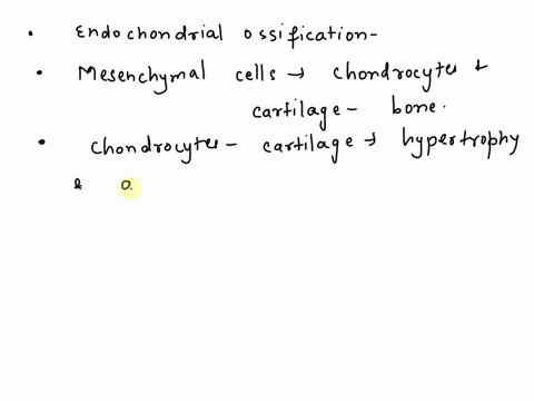 correctly-order-the-following-key-steps-in-the-process-of-endochondral-ossification-a-chondrocytes-die-b-osteoblasts-build-the-bone-collar-on-the-external-surface-of-the-bone-c-perichondrium-31441
