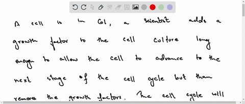 a-cell-is-in-g1-a-scientist-adds-a-growth-factor-to-the-cell-culture-long-enough-to-allow-the-cell-to-advance-to-the-next-stage-of-the-cell-cycle-but-then-removes-the-growth-factor-assuming-88304