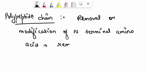 problem-5-trimming-of-polypeptide-chains-this-includes-removal-of-the-formyl-group-or-the-entire-formylmethionine-from-bacterial-proteins-or-acetylation-in-eukaryotes-attachment-of-carbohydr-41117