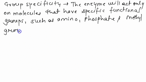 what-is-the-structural-basis-for-enzyme-specificity-02527