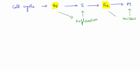 1-a-cell-picks-up-mutations-that-allow-it-to-move-past-the-g1-and-g2-checkpoints-even-if-its-growth-factor-is-not-present-these-mutations-also-cause-the-mutated-cell-to-bond-less-tightly-to-69789