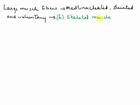 large-muscle-fibers-that-are-multinucleated-striated-and-voluntary-are-found-in-a-cardiac-muscle-tissue-b-skeletal-muscle-tissue-c-smooth-muscle-tissue-d-a-b-and-c-are-correct-29777