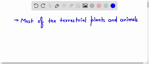59043quizzes389429take-question-36-2-pts-most-of-the-terrestrial-plant-and-animal-species-on-earth-live-in-grassland-ecosystems-true-false-04222