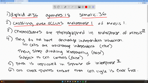 chromosomes-in-its-an-animal-with-diploid-number-0f-36-chromosomes-will-have-gametes-and-chromosomes-in-its-somatic-cells-118-18-b-18-36-36-18-d36-36-homologous-chromosomes-synapse-and-cross-65387