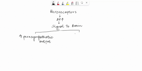 explain-how-the-patients-body-tries-to-decrease-their-blood-pressure-via-the-baroreceptor-reflex-draw-the-baroreceptor-reflex-then-use-arrows-to-designate-increases-or-decreases-on-the-relat-89793