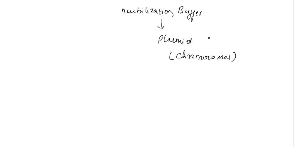 SOLVED Experimental 1. Pellet 3 ml bacterial culture by