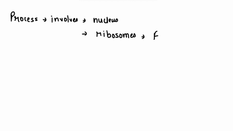 the-nuclues-ribosomes-er-golgi-appartus-and-vesicles-are-all-involved-in-what-process-23639
