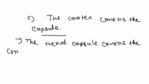 which-of-the-following-statements-about-the-kidney-is-false-a-the-renal-pelvis-drains-into-the-ureter-b-the-renal-pyramids-are-in-the-medulla-c-the-cortex-covers-the-capsule-d-nephrons-are-i-86876