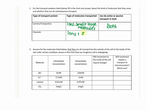 for-the-transport-proteins-listed-below-fill-in-the-chart-and-answer-about-the-kinds-of-molecules-that-they-move-and-whether-they-can-do-activepassive-transport-type-of-transport-protein-typ-48561