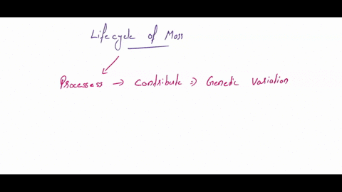 19the-diagram-below-indicates-1point-the-life-cycle-of-a-moss-plant-two-processes-in-the-life-cycle-of-moss-that-contribute-to-increased-genetic-variation-are-life-cycle-of-moss-2amd3-2and4-78672