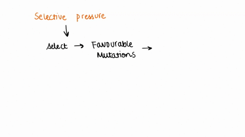 how-do-selective-pressures-from-the-environment-drive-adaptation-by-natural-selection-provide-an-example-to-support-your-answer-85643