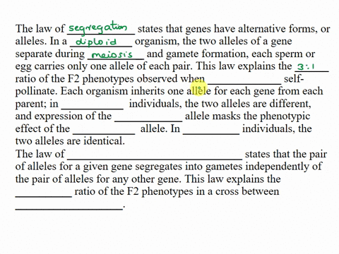 chapter-14-question-17-12-0-30-the-contnuily-0l-mte-bused-on-heritable-iformation-in-the-fomi-0i-dna-explain-how-ine-passagg-0f-denes-irom-parerits-olfsprir-in-ine-lorm-0l-particular-alleles-31836