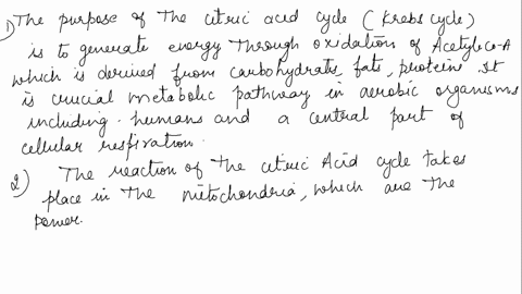 what-the-purpose-of-the-citric-acid-krebs-cycle-acohy-coa-where-in-the-cell-do-these-reactions-take-place-orloncotato-malate-citato-isocitmte-citric-acid-cycle-fumtaradot-oxygen-gas-directly-71757