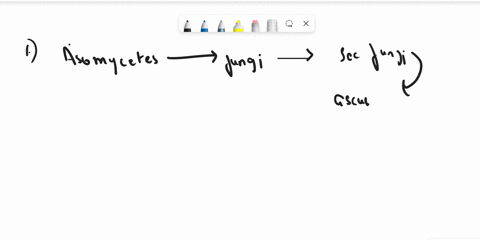 by-which-process-does-yeast-produce-the-carbon-dioxide-responsible-for-bread-rising-a-photosynthesis-b-glycolysis-c-cellular-respiration-d-dehydration-synthesis-77897