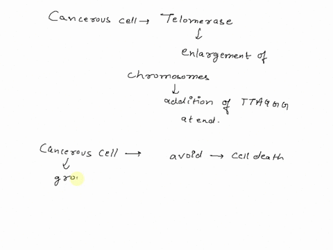 telomeres-and-cancer-telomerase-is-not-active-in-most-human-cells-some-cancer-biologists-have-sugges-13809