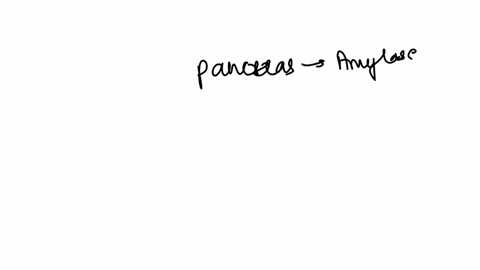 which-of-the-following-organs-produces-digestive-enzymes-in-order-to-break-proteins-down-pancreas-r-umatt-intestine-pancreas-stomach-small-intestine