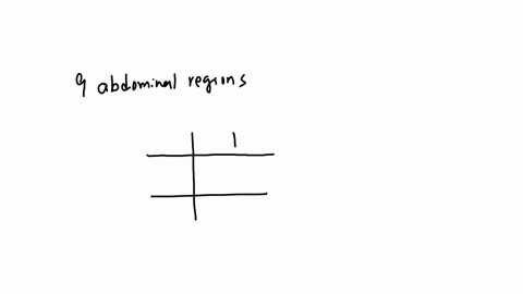 yan-is-experiencing-pain-in-which-abdominopelvic-quadrant-the-right-lower-quadrant-the-left-upper-quadrant-the-left-lower-quadrant-the-right-upper-quadrant