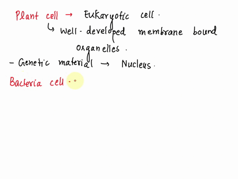 which-of-the-following-characteristics-do-plant-cells-nd-bacteria-have-in-common-05638