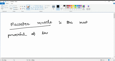 which-muscle-is-the-most-powerful-of-the-masticatory-muscles-and-functions-to-elevate-and-protract-the-mandible-94637
