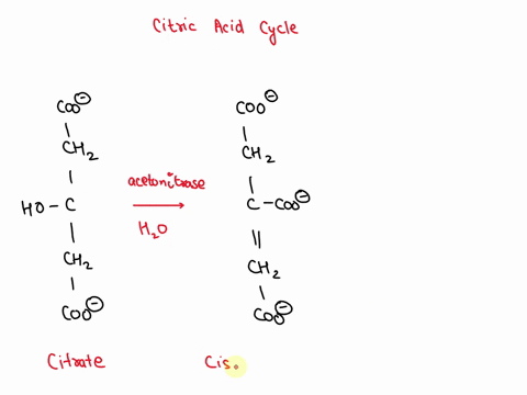 the-second-step-of-the-citric-acid-cycle-is-catalyzed-by-the-enzyme-aconitase-draw-the-product-of-this-reaction-be-sure-show-all-the-carbonyl-groups-in-their-ionized-form-coo-which-is-locate-96964