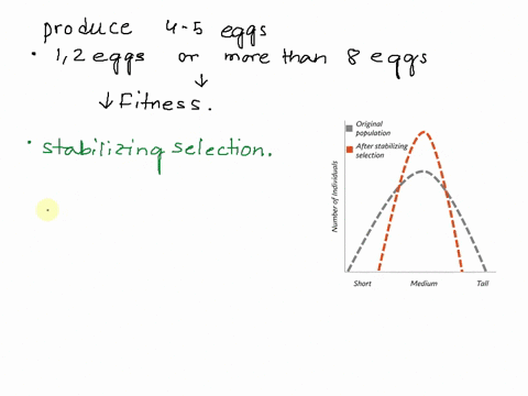 species-produce-four-or-five-eggs-in-each-clutch-most-swiss-starlings-a-bird-morg-eggs-than-this-have-reduced-starlings-t-and-birds-with-8-fitness-eggs-which-s-that-produce-only-or-2-0f-the-39317