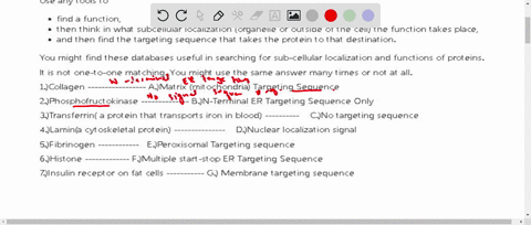 for-the-following-proteins-indicate-what-targeting-sequences-are-present-in-their-precursors-think-about-the-final-localization-of-the-protein-in-the-cell-based-on-the-proteins-function-most-89475